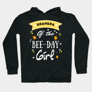 Grandpa Of The Bee Day Girl, Cute Bee Day Family Party Hoodie